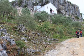 Photo 33