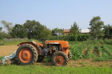 Photo 27