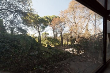 View from room