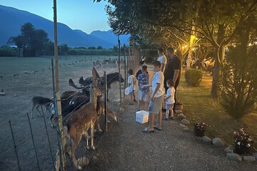 Children's activities