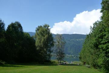 Photo 32