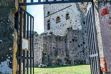 Photo 24