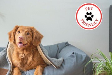 Pet-friendly