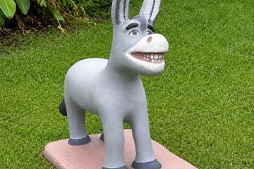 Photo 16