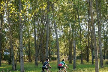 Bicycling