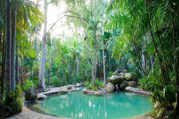 Swimming pool [outdoor]
