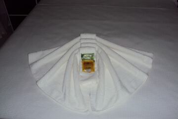Bathroom amenities