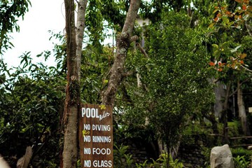 Natural pool