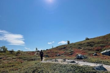 Hiking