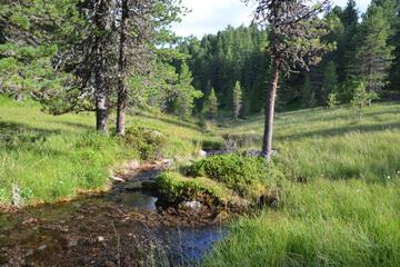Photo 8