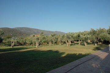 Outdoor banquet area