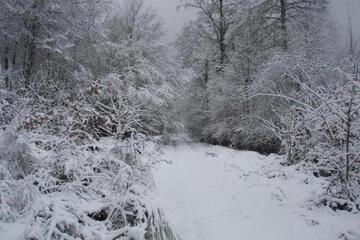 Photo 32