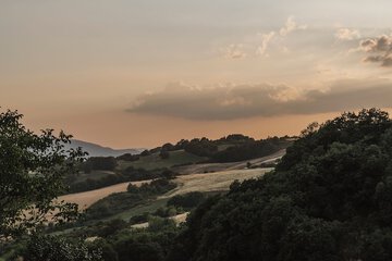 Land view from property