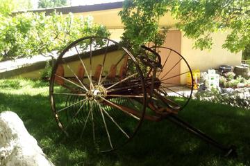 Photo 42