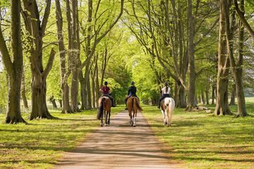 Horseback riding