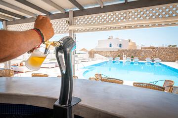 Swim-up bar