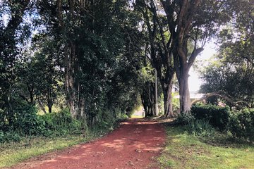 Ecotours