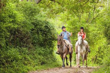 Horseback riding