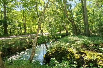 Land view from property
