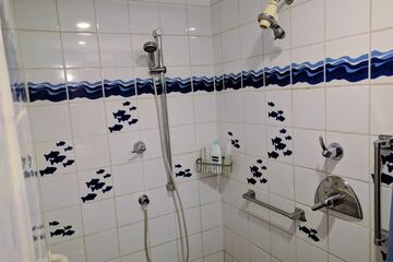 Bathroom shower