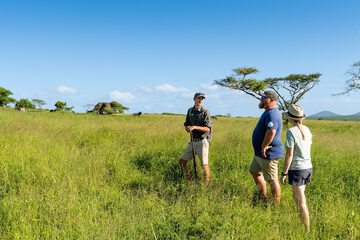 Game viewing