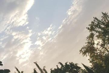 Photo 62