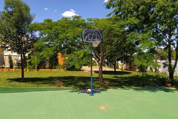 Basketball court