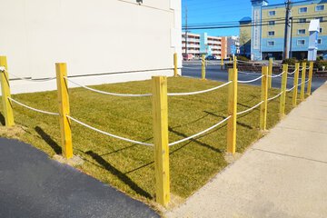 Pet-friendly amenities