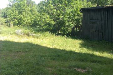 Photo 42