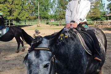Horseback riding