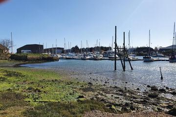 Photo 20