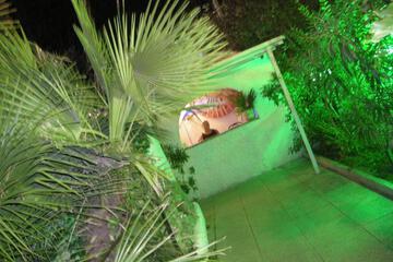 Photo 55
