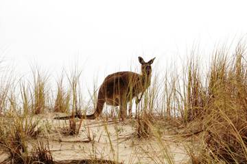 Ecotours