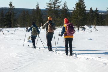 Skiing