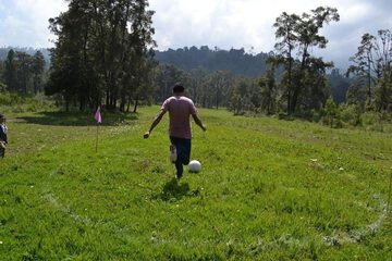 Sport court