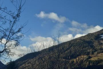 Photo 51