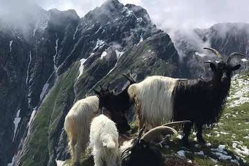 Ecotours