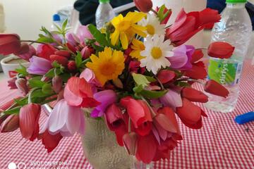 Photo 48