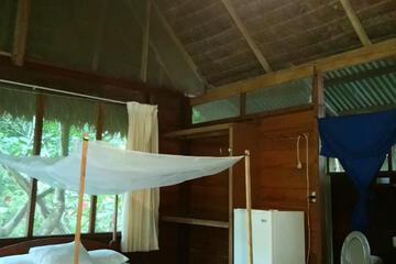 Photo 38
