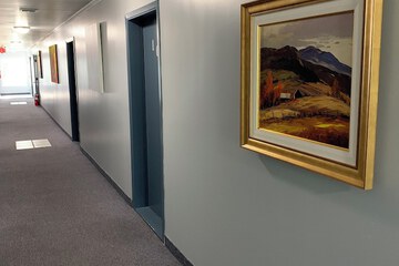 Handrails in hallways