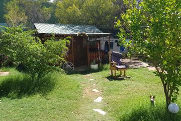 Photo 24