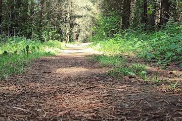 Hiking