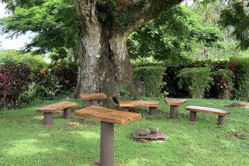 BBQ/picnic area