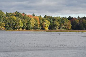 Fishing