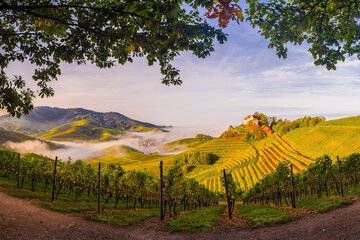 Winery