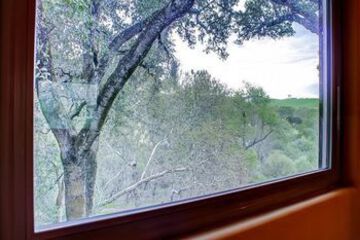 Guestroom View