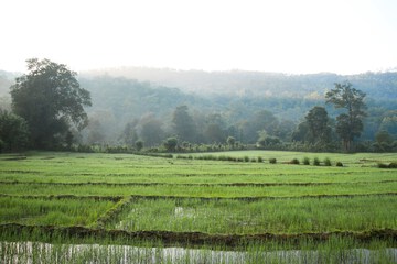 Land view from property