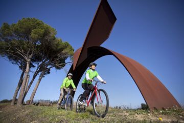 Bicycling