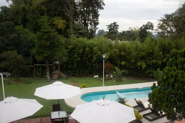 Garden view
