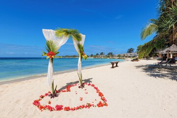 Outdoor wedding area